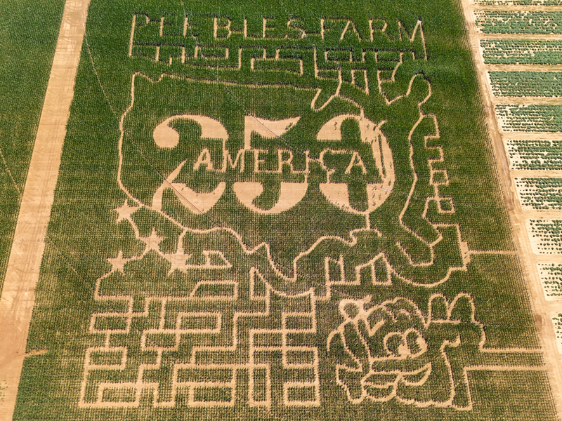 2026 patriotic
