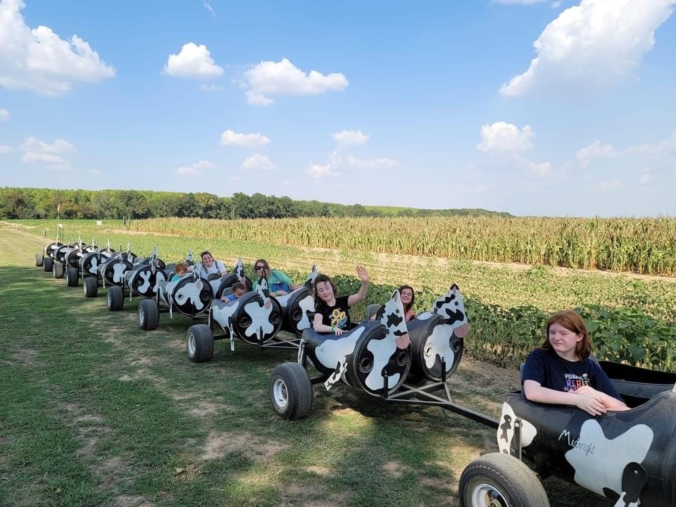 images/galleries/cowtrain.jpg#joomlaImage://local-images/galleries/cowtrain.jpg?width=960&height=720