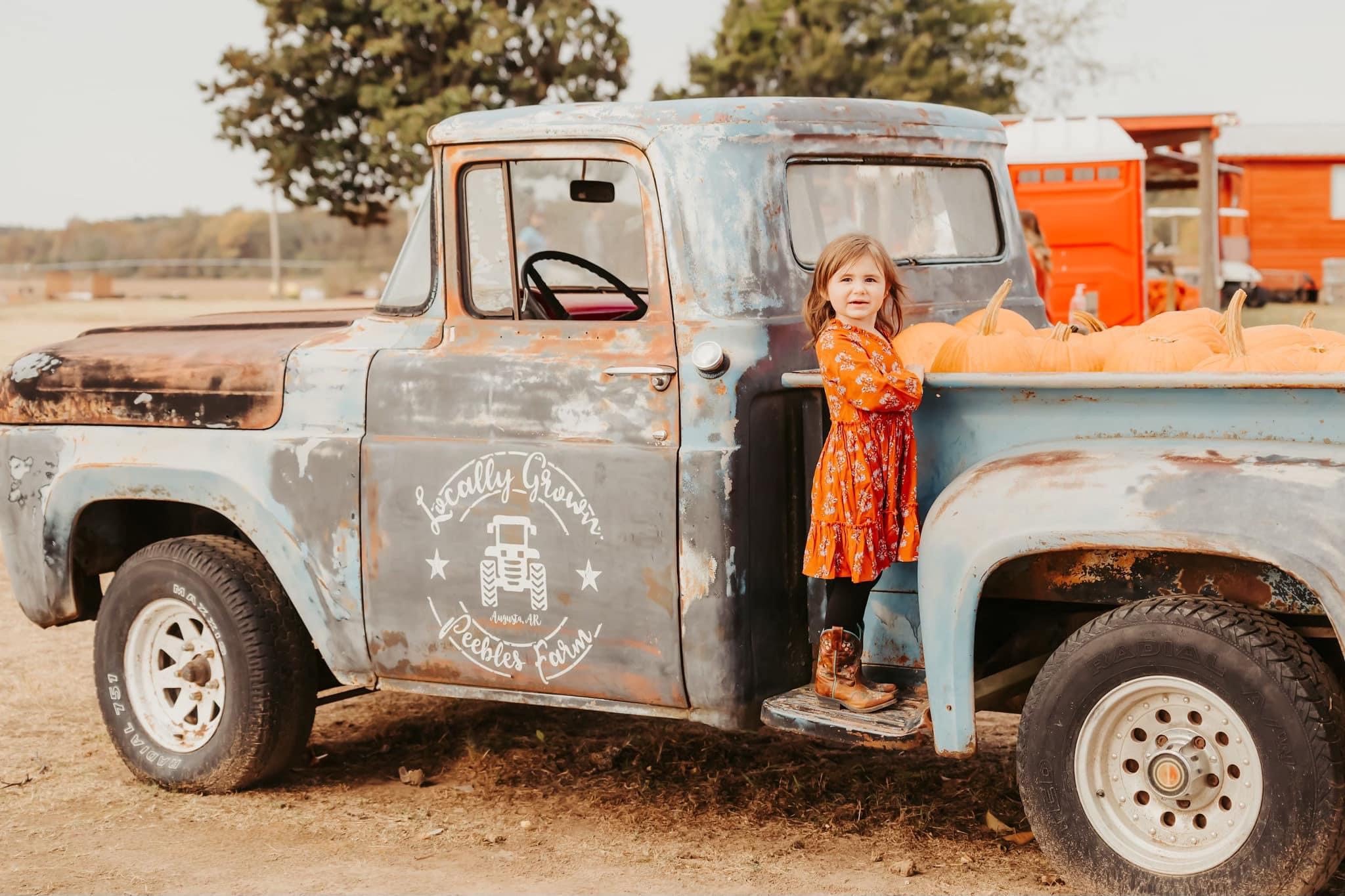 images/galleries/girl-truck.jpg#joomlaImage://local-images/galleries/girl-truck.jpg?width=2048&height=1365