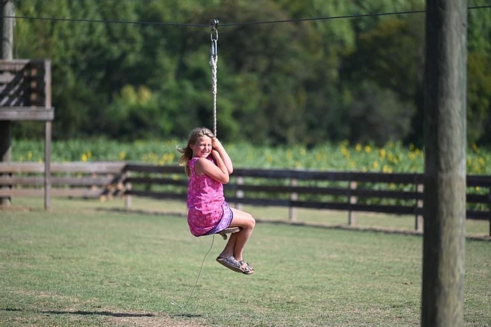 images/galleries/girl-zipline.jpg#joomlaImage://local-images/galleries/girl-zipline.jpg?width=960&height=639