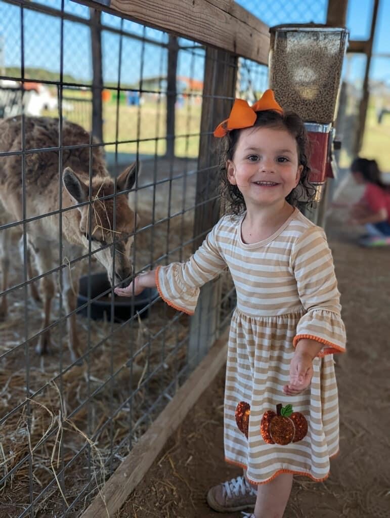 images/galleries/petting-zoo.jpg#joomlaImage://local-images/galleries/petting-zoo.jpg?width=771&height=1024