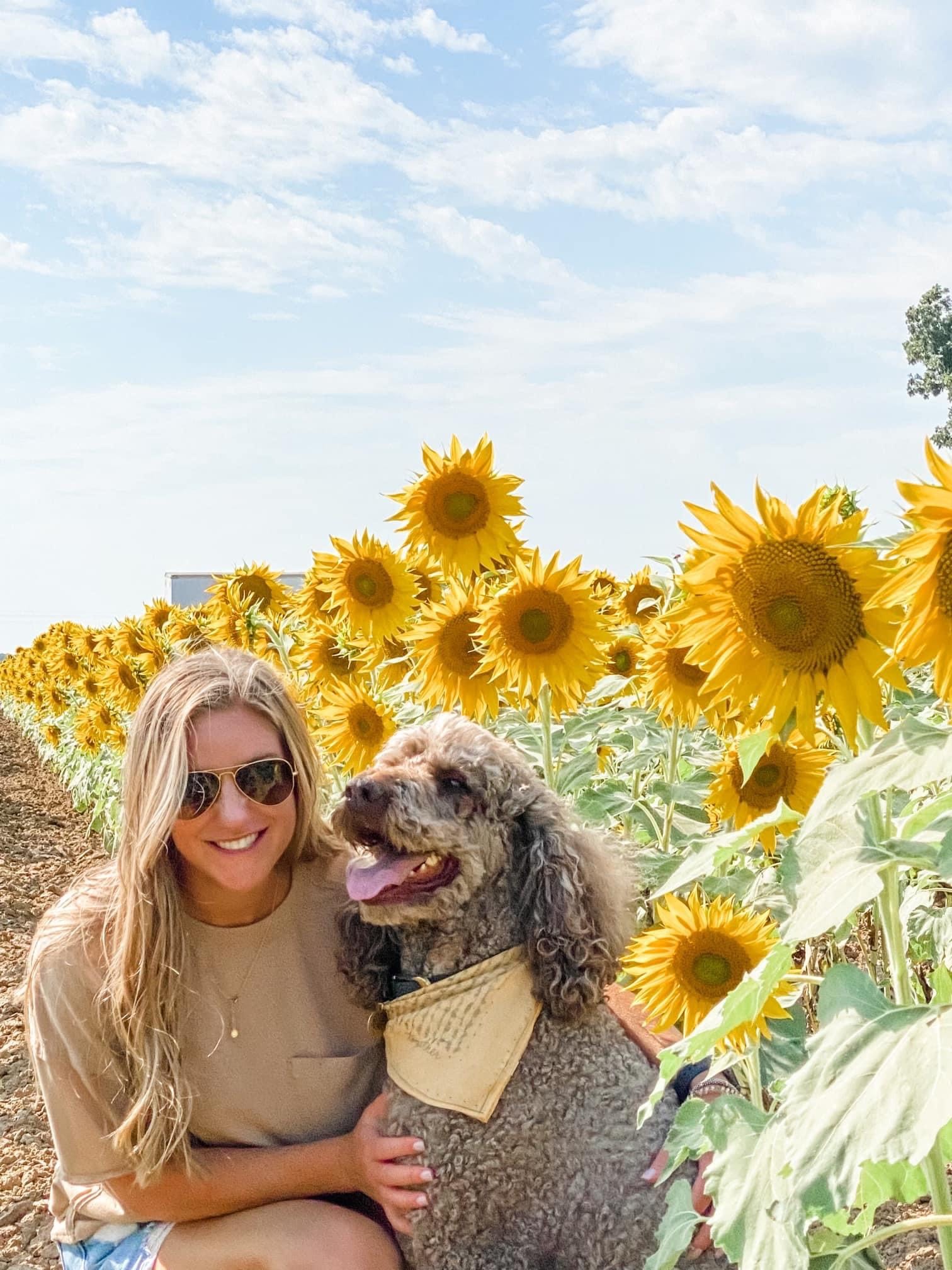 images/galleries/sunflowers-with-dog.jpg#joomlaImage://local-images/galleries/sunflowers-with-dog.jpg?width=1512&height=2016